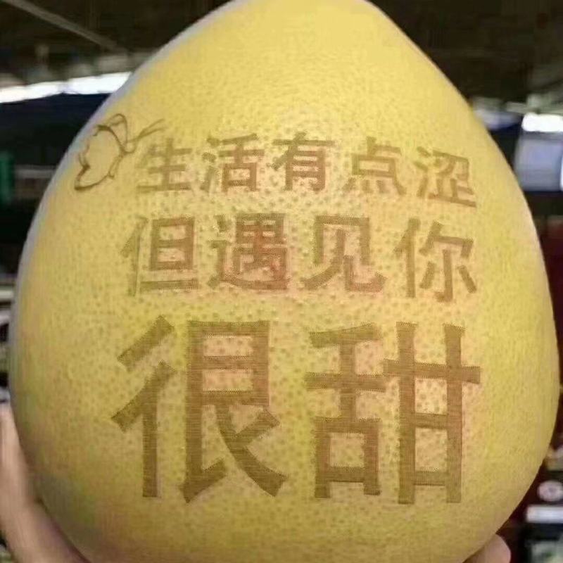 福建平和三红柚子红心柚子颜色漂亮肉质细腻