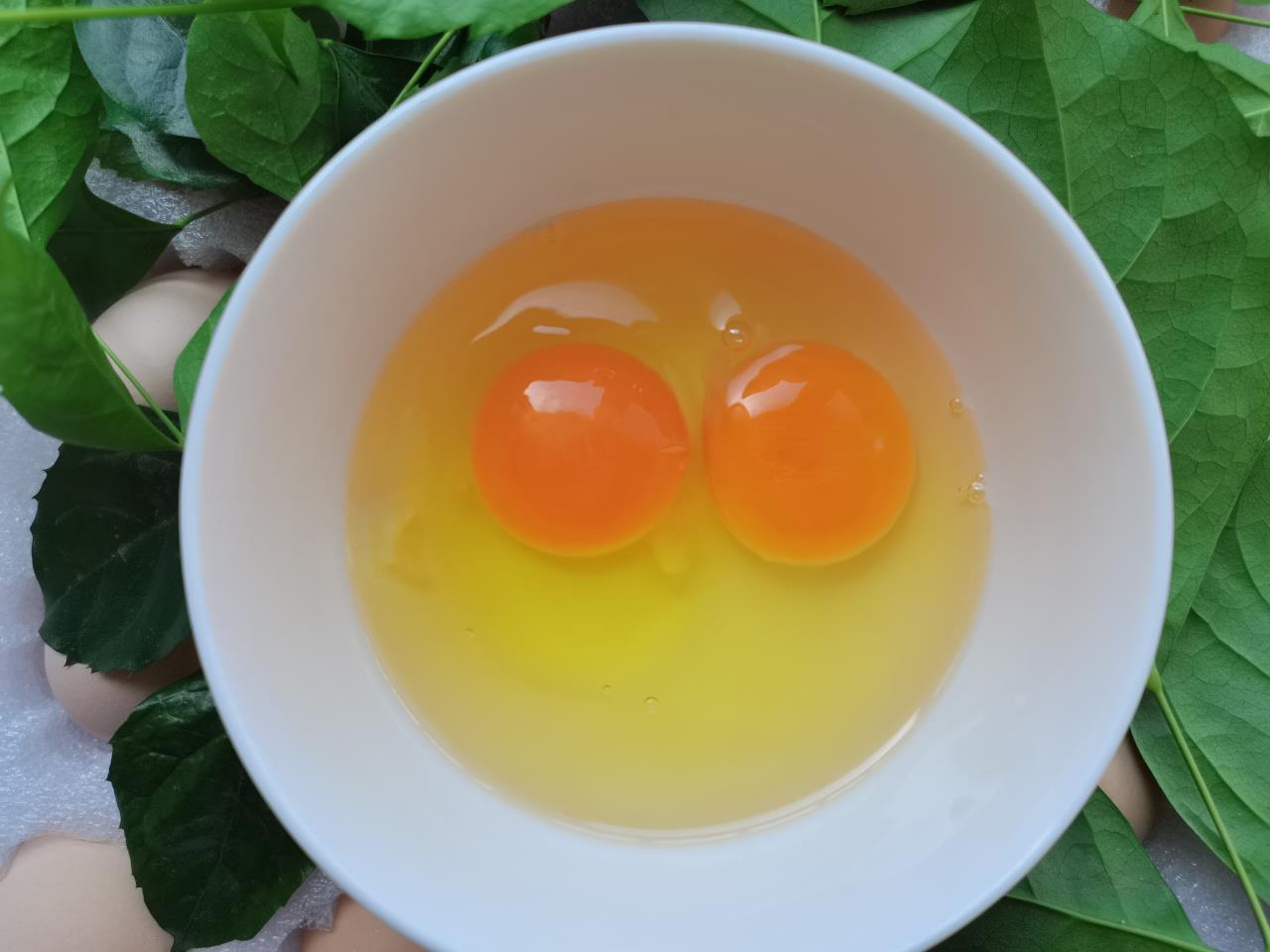 橙子蒸蛋摆盘图