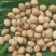 甘肃产地直发胡豆小圆蚕豆优质豌豆干货当季新货羊眼豆批发