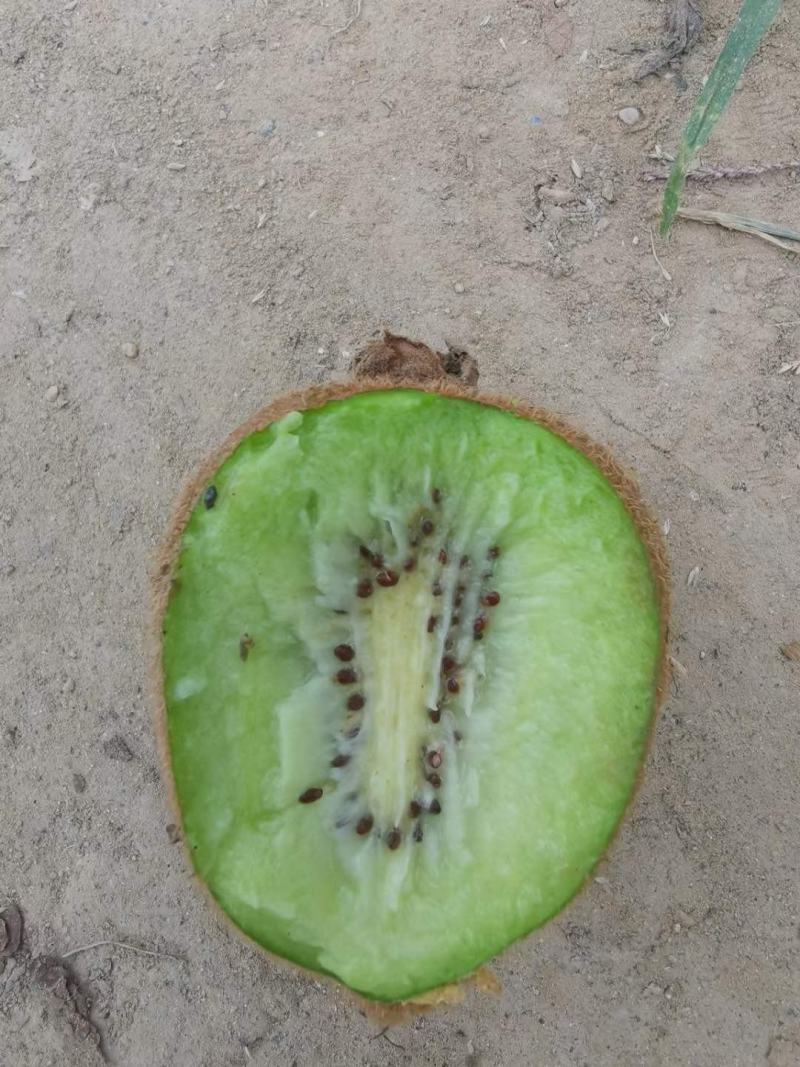 弥猴桃