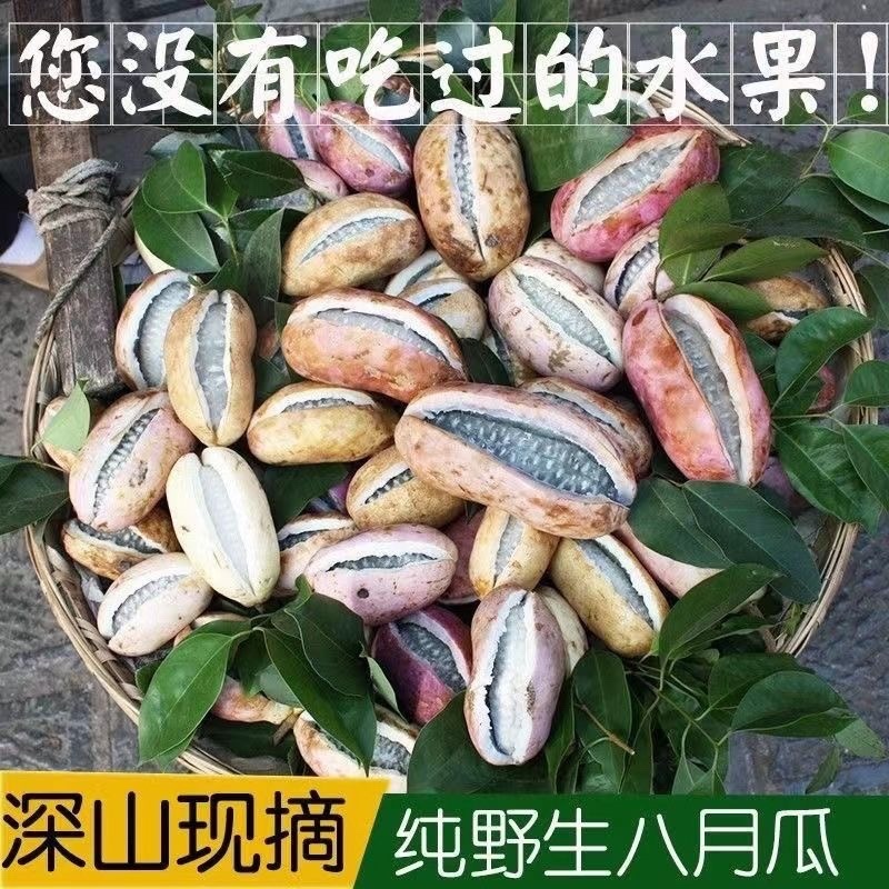 深山水果八月瓜牛腰果八月炸基地现摘现发一件代发