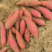 【热卖红薯】西瓜红开封红薯产地直发全国市场量大从优电联订购