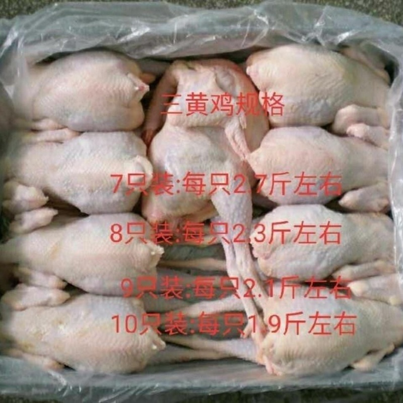 三黄鸡冷冻批发各种规格厂家直发