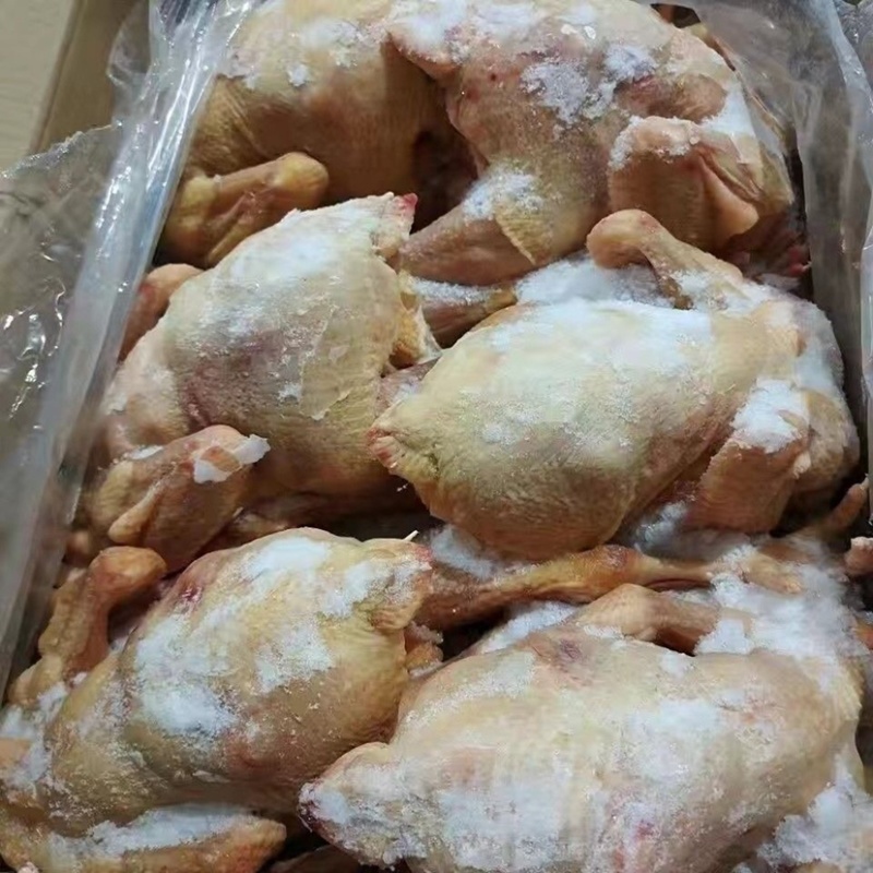 三黄鸡冷冻批发各种规格厂家直发