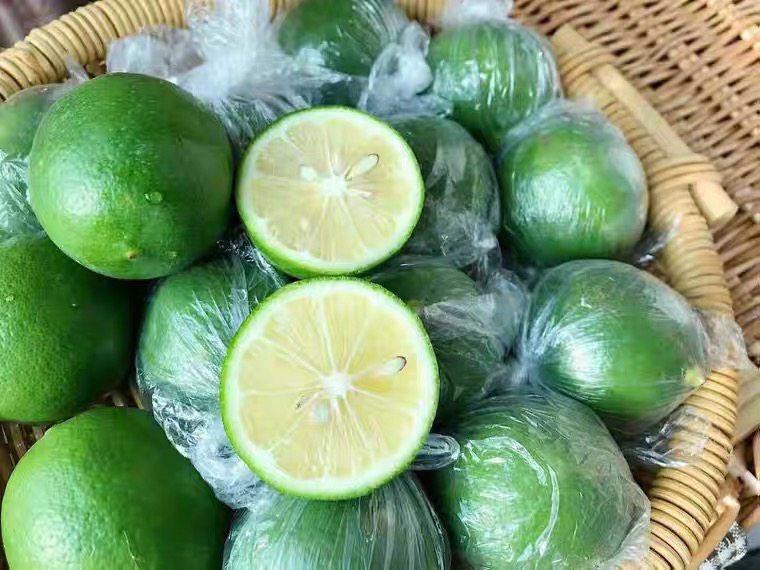 成熟尤力克柠檬与青柠对比图