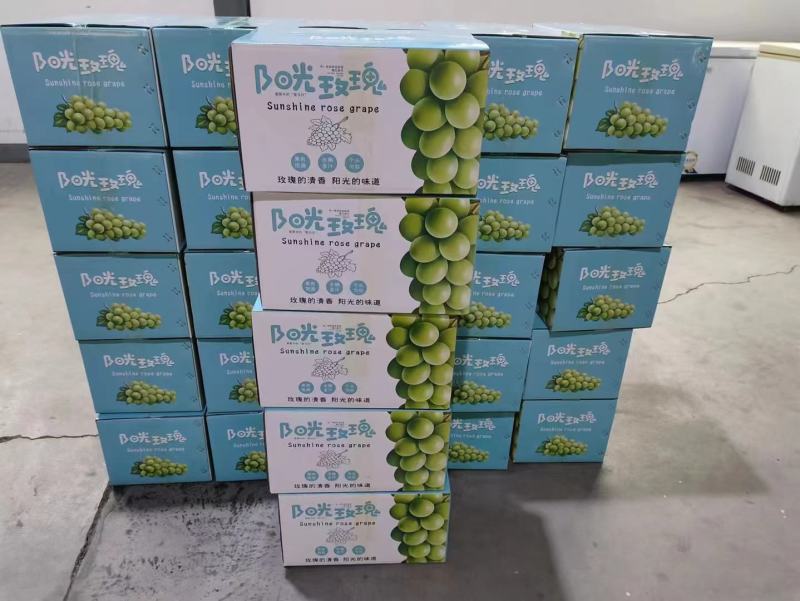 陕西葡萄，渭南阳光玫瑰，大量上市中，产地直发