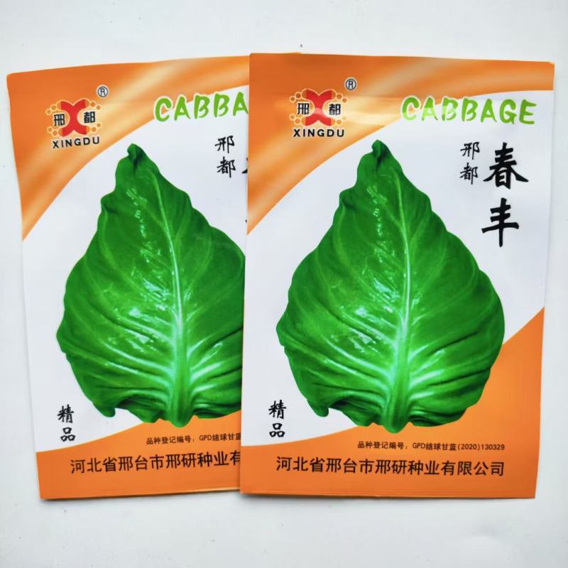 春丰甘蓝种子牛心杂交品种