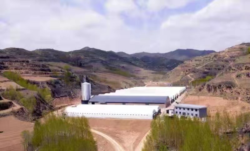 一座现代化的德青源蛋鸡养殖场,位于山区丘陵地带,白色厂房整齐排列,周围绿树环绕,屋顶设有太阳能光伏板,场区干净整洁,有自动化运输车辆在运行,体现生态与科技融合的养殖理念 德青源现代化蛋鸡养殖场全景