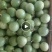 钦密9号百香果广西