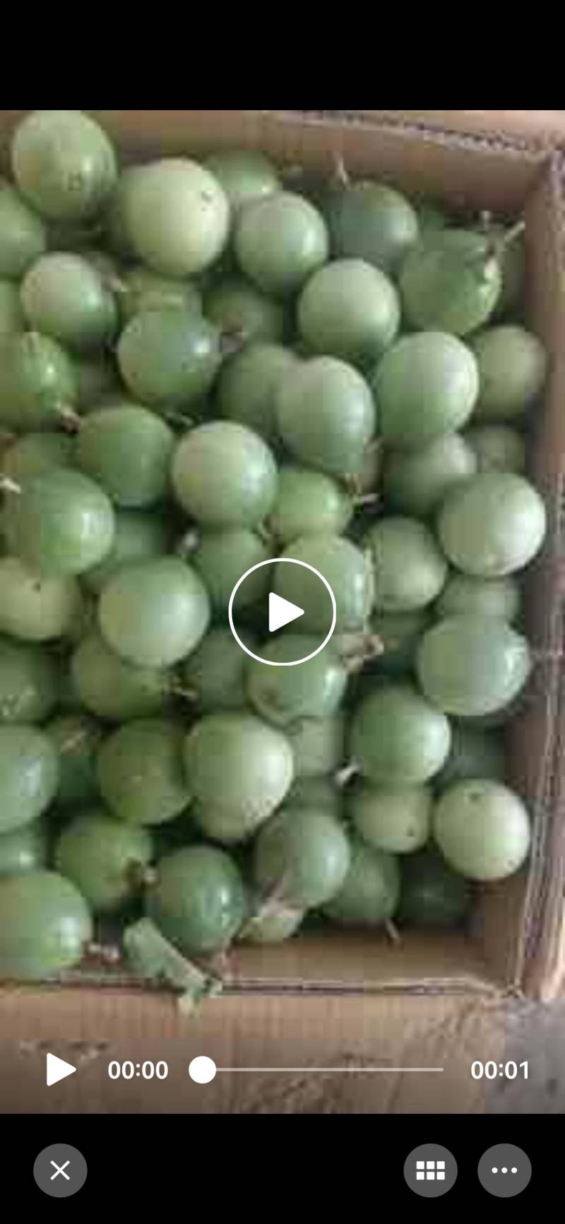 钦密9号百香果广西