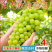 阳光玫瑰葡萄现货速发3/4斤香印青提礼盒整箱晴王品种