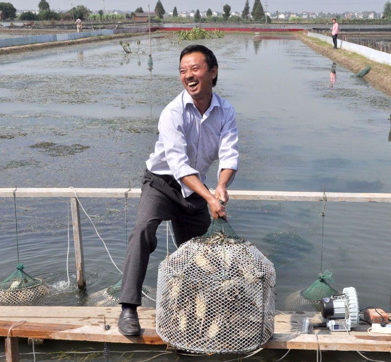 大闸蟹江苏省固大闸蟹直供全国酒店超市电商