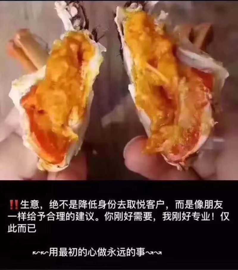 大闸蟹江苏省固大闸蟹直供全国酒店超市电商