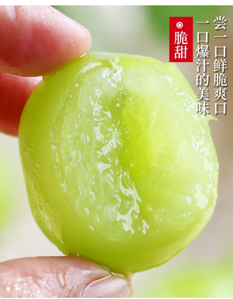 阳光玫瑰葡萄现货速发3/4斤香印青提礼盒整箱晴王品种