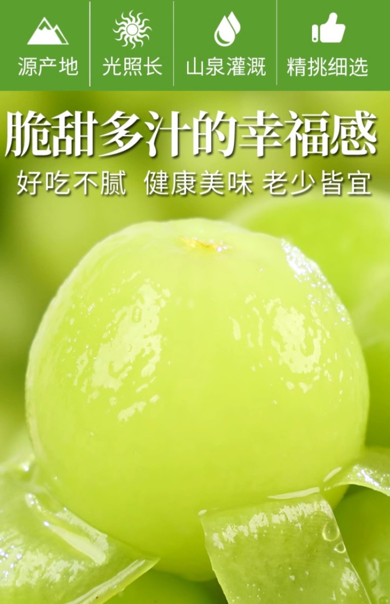阳光玫瑰葡萄现货速发3/4斤香印青提礼盒整箱晴王品种