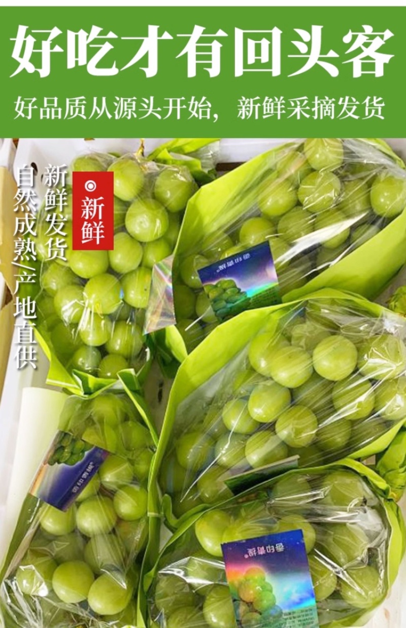 阳光玫瑰葡萄现货速发3/4斤香印青提礼盒整箱晴王品种