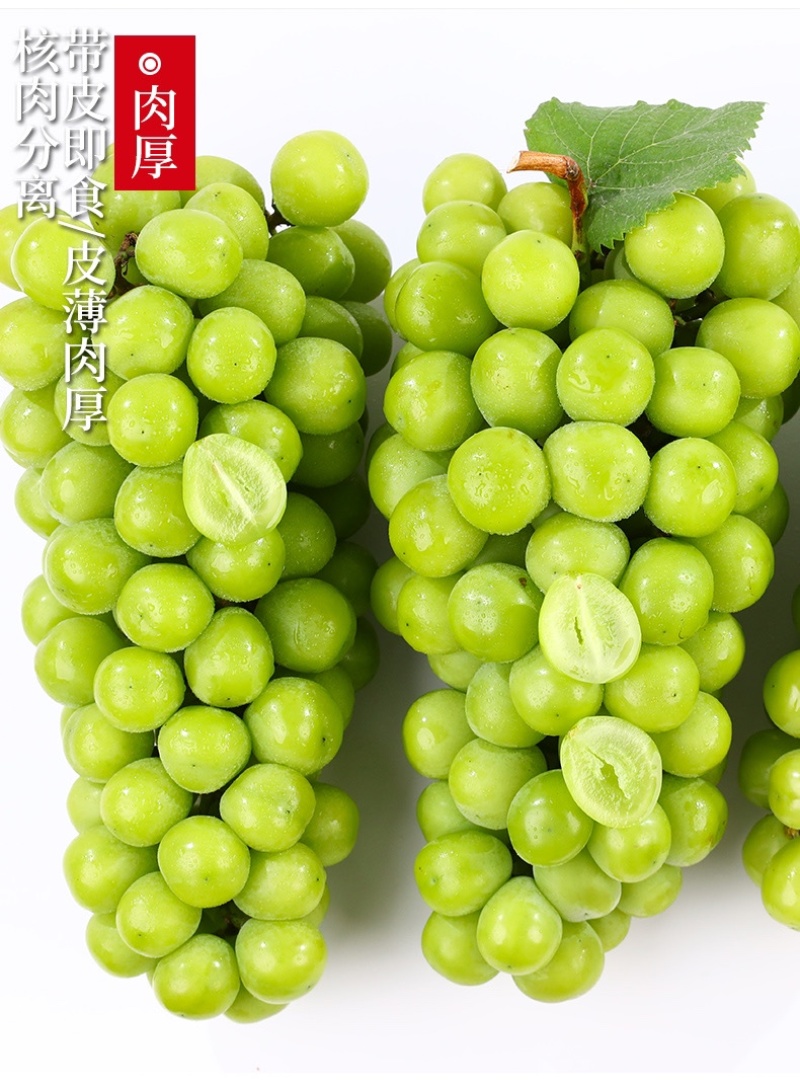 阳光玫瑰葡萄现货速发3/4斤香印青提礼盒整箱晴王品种