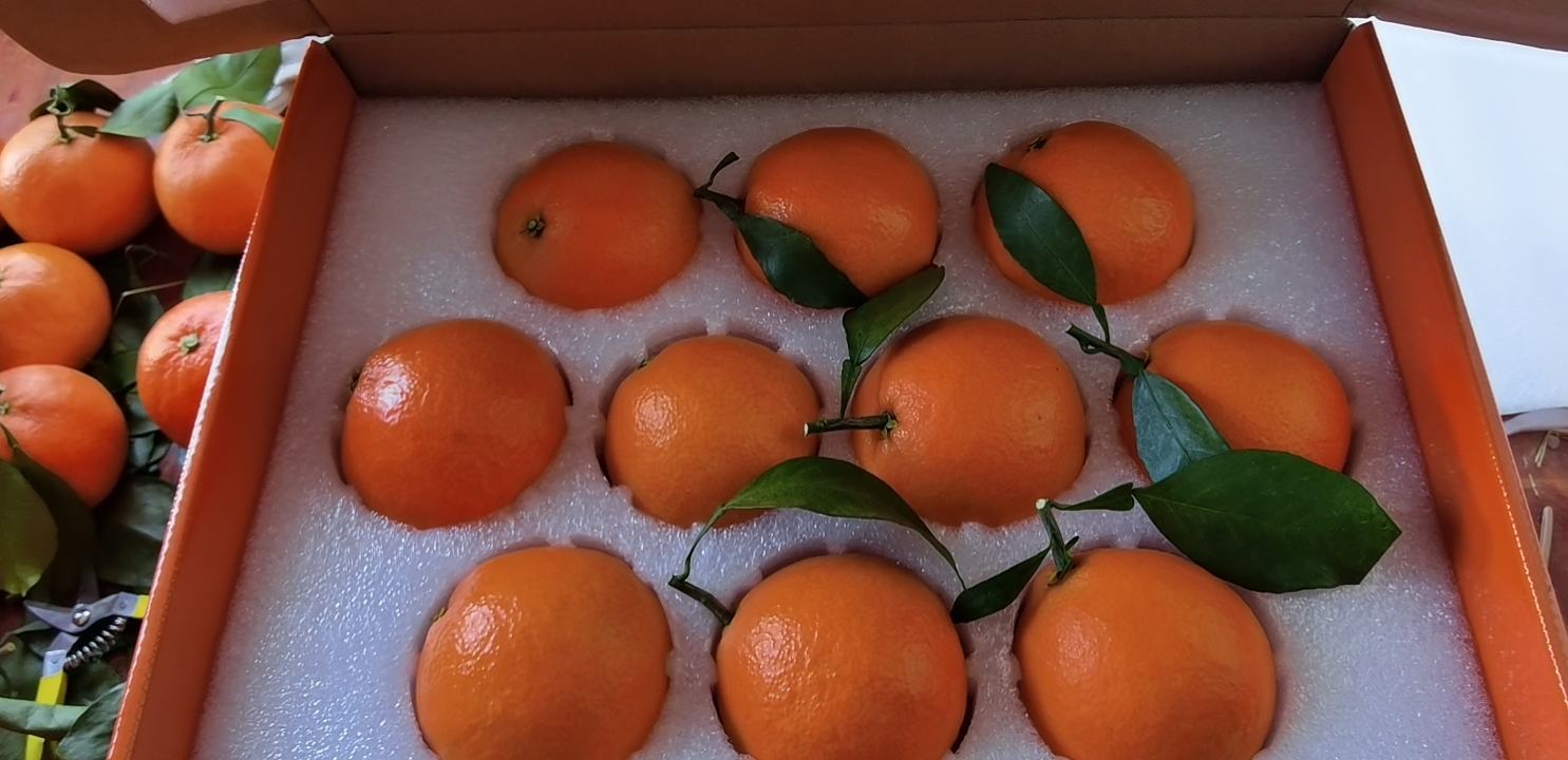 成品橙派特写图