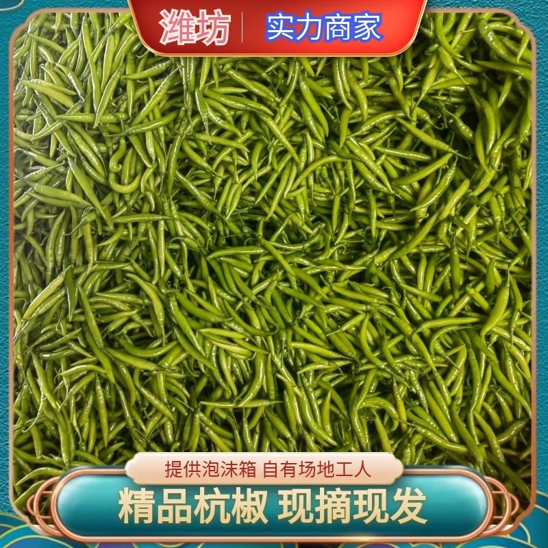 潍坊青州.杭椒.进口.国产.加工厂.电商.社区.商超