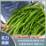 线椒，黄线椒，3号线椒.8号椒.青线椒.30公分黄线椒