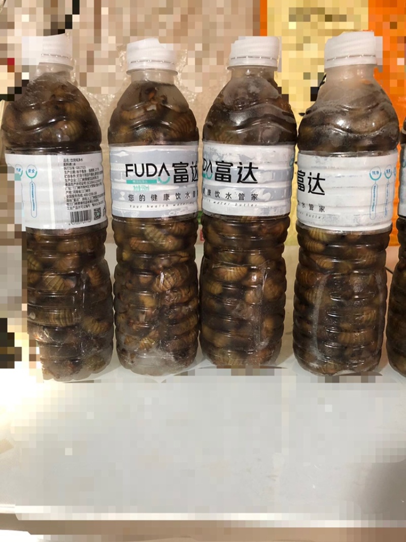 杜仲园，杜仲金蝉原产地一手货源，货源充足