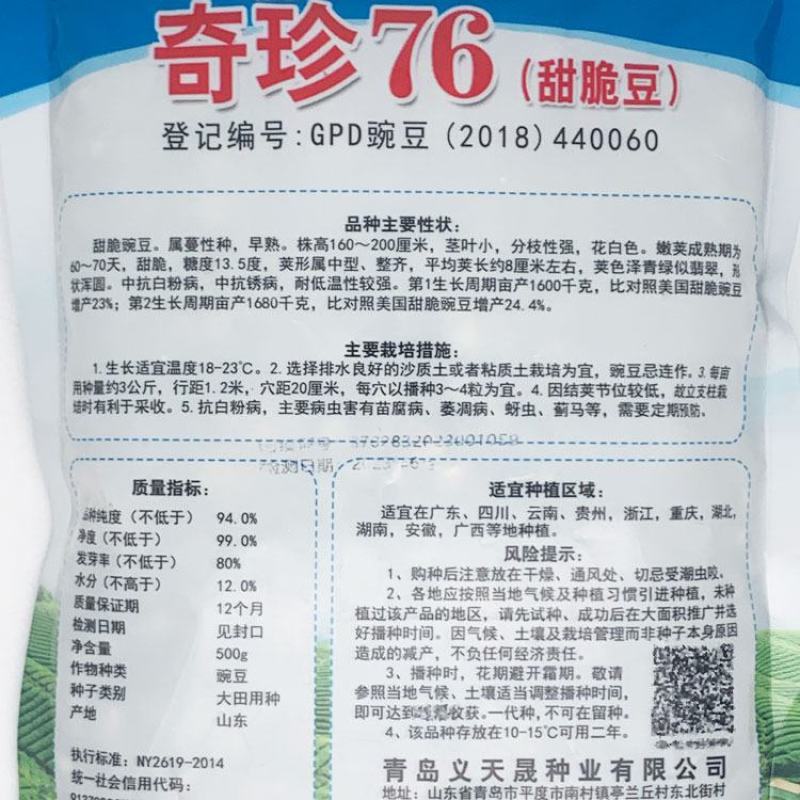 奇珍76甜豌豆种子长寿仁豌豆种子耐寒抗病大荚甜脆豌豆种