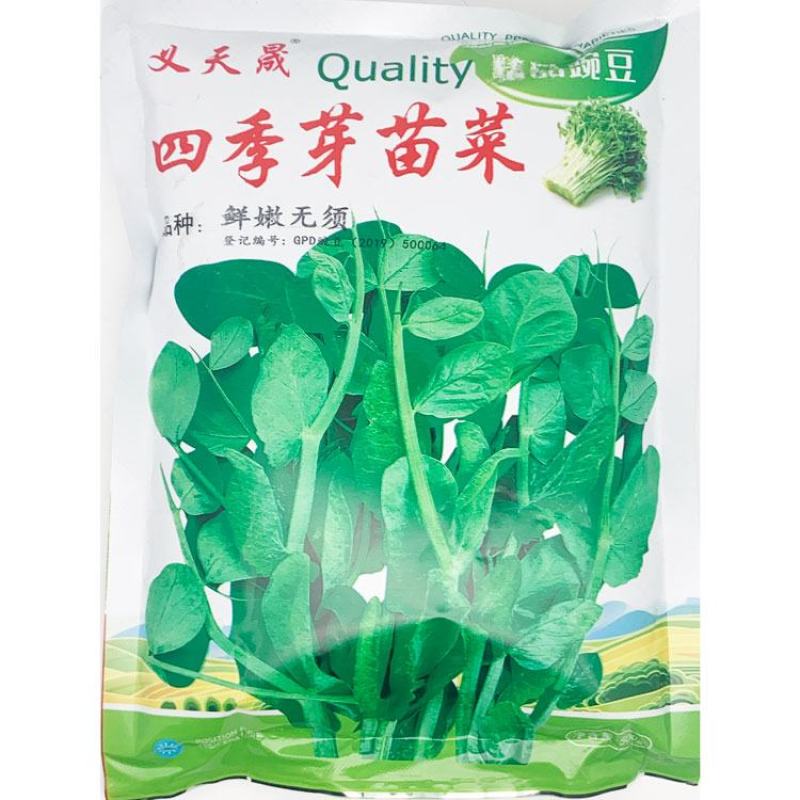 黑芽豌豆苗种子抗病耐寒豌豆尖种鲜嫩无须芽苗菜种子500克
