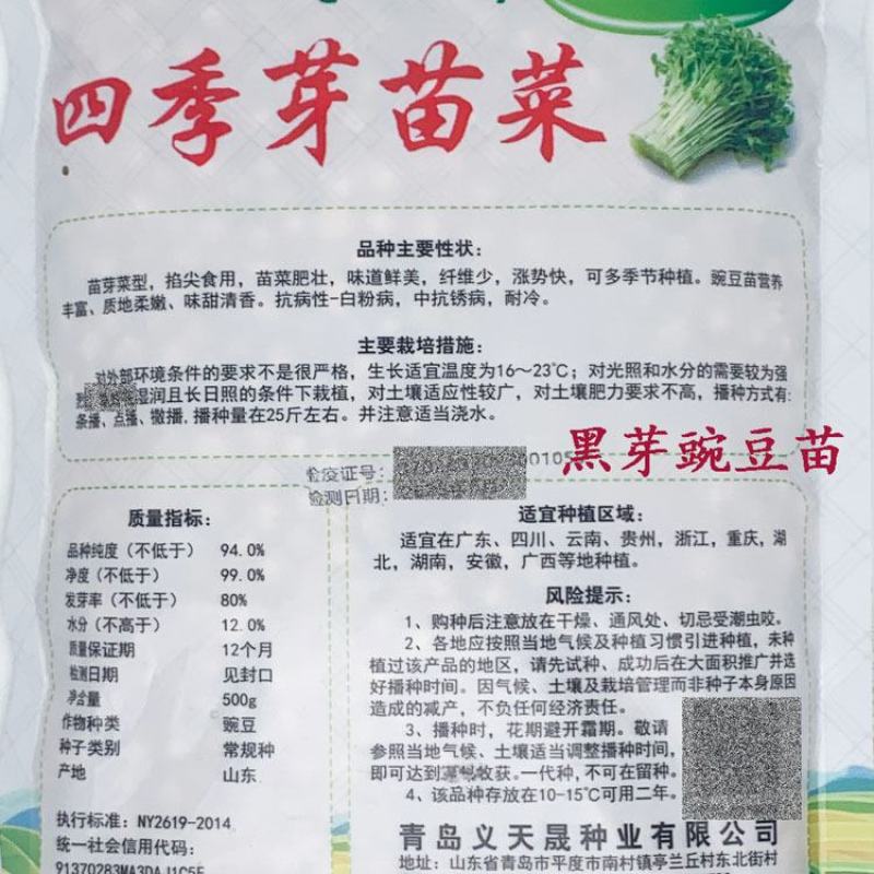 黑芽豌豆苗种子抗病耐寒豌豆尖种鲜嫩无须芽苗菜种子500克