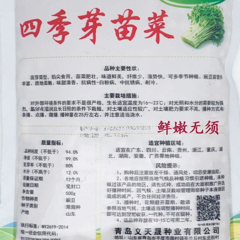 黑芽豌豆苗种子抗病耐寒豌豆尖种鲜嫩无须芽苗菜种子500克