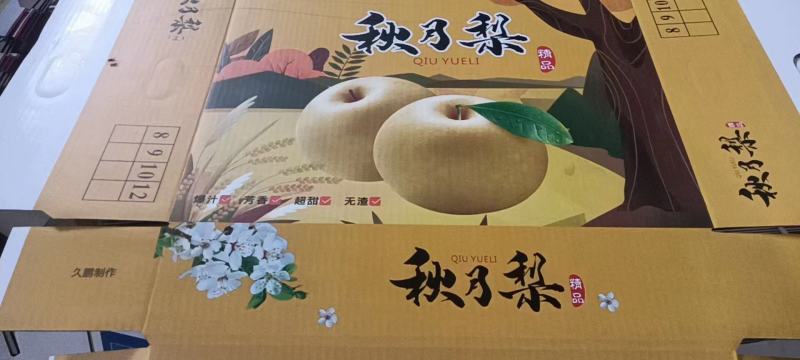 秋月梨，口感脆甜，肉质细腻