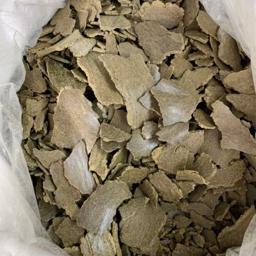 孜然饼