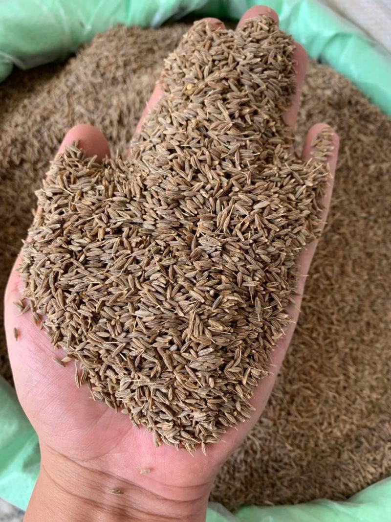 孜然规格齐全！产地直销！大货批发一手货源价格优！