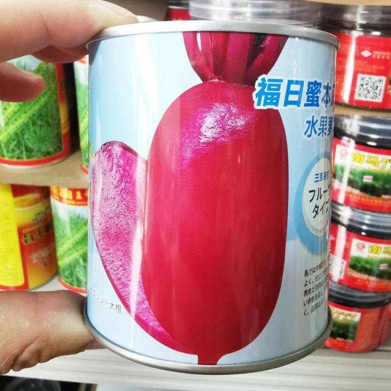 蜜本凤梨水果萝卜种子红皮红肉甜脆红萝卜种原装发货