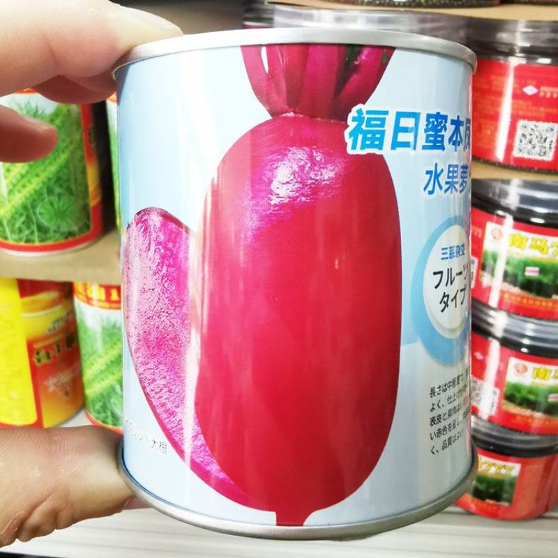 蜜本凤梨水果萝卜种子红皮红肉甜脆红萝卜种原装发货