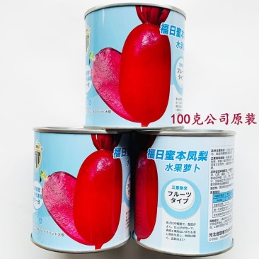 蜜本凤梨水果萝卜种子红皮红肉甜脆红萝卜种原装发货
