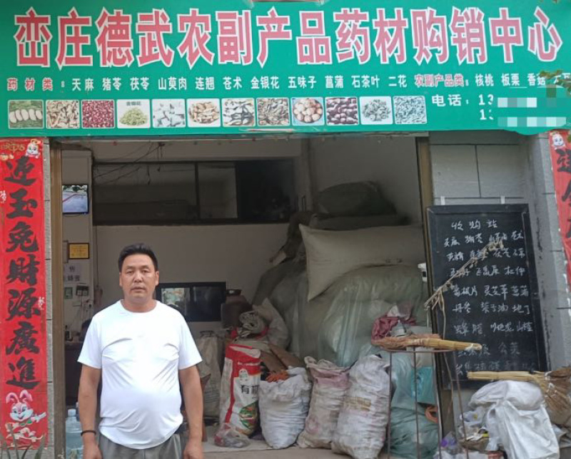 清翅连翘大量上市价格合理欢迎老板联系