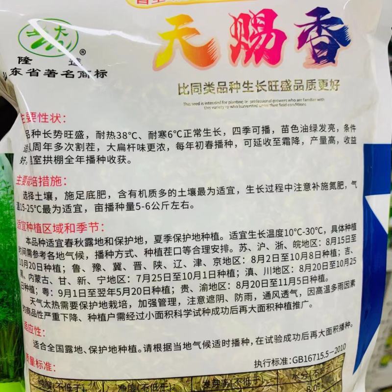 天赐香割茬茴香种子耐热耐寒扁杆茴香种子一年四季茴香籽种