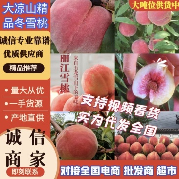 大凉山，冬桃，高山雪蜜桃一手货源量大从优，视频看货