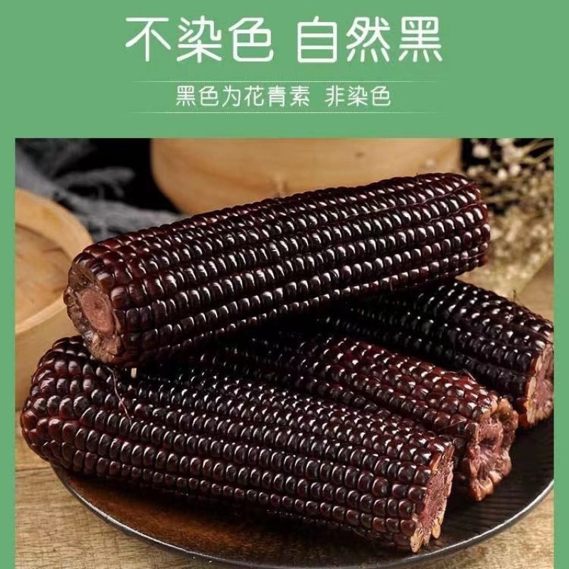 黑糯玉米真空包装一件代发需要的老板联系