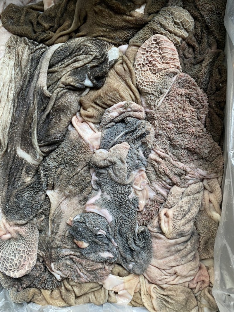 免洗羊肚水小干净大小都有