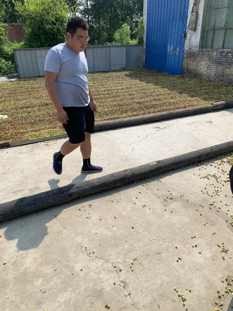 出售双仁药用酸枣。出仁率特高。欢迎全国各地老板参观