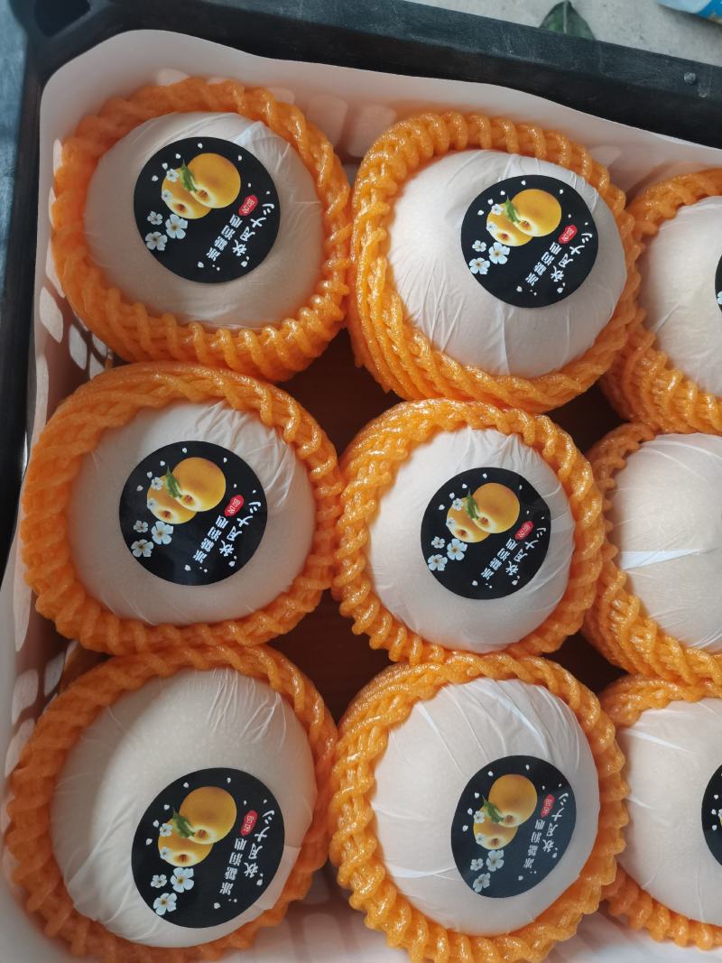 秋月梨纸袋秋月梨冷库梨电商货市场货