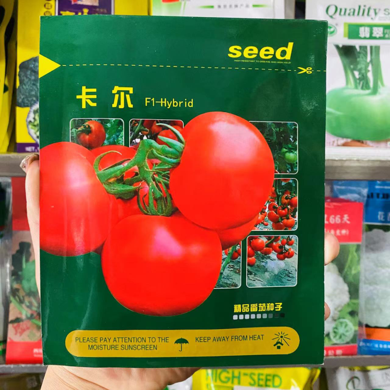 卡尔红果番茄品种种子耐热无线生长种子，早熟品种
