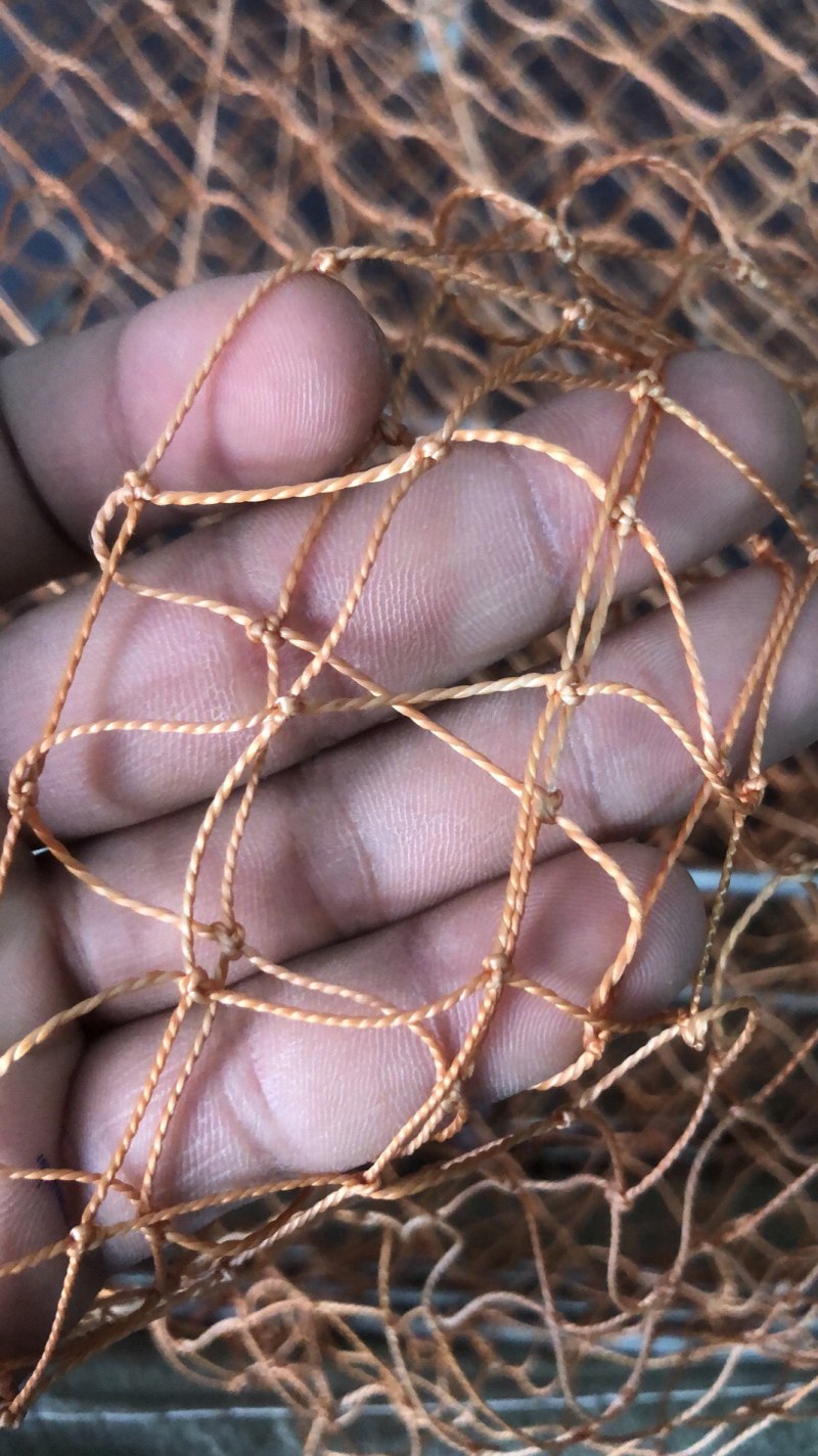 各种养殖笼子网鸡笼子防虫网种植用网防护网围网