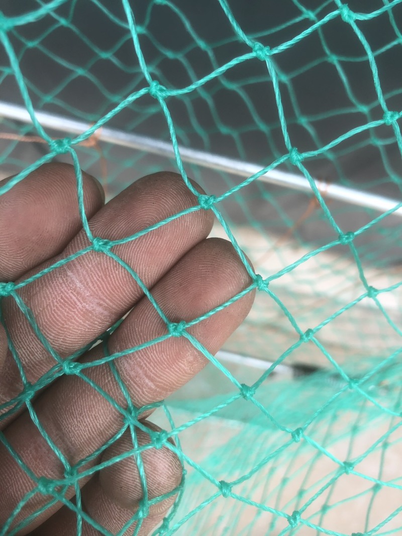 各种养殖笼子网鸡笼子防虫网种植用网防护网围网