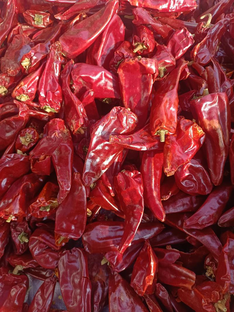 北京红干辣椒，价格低质量好，支持视频看货全国包邮