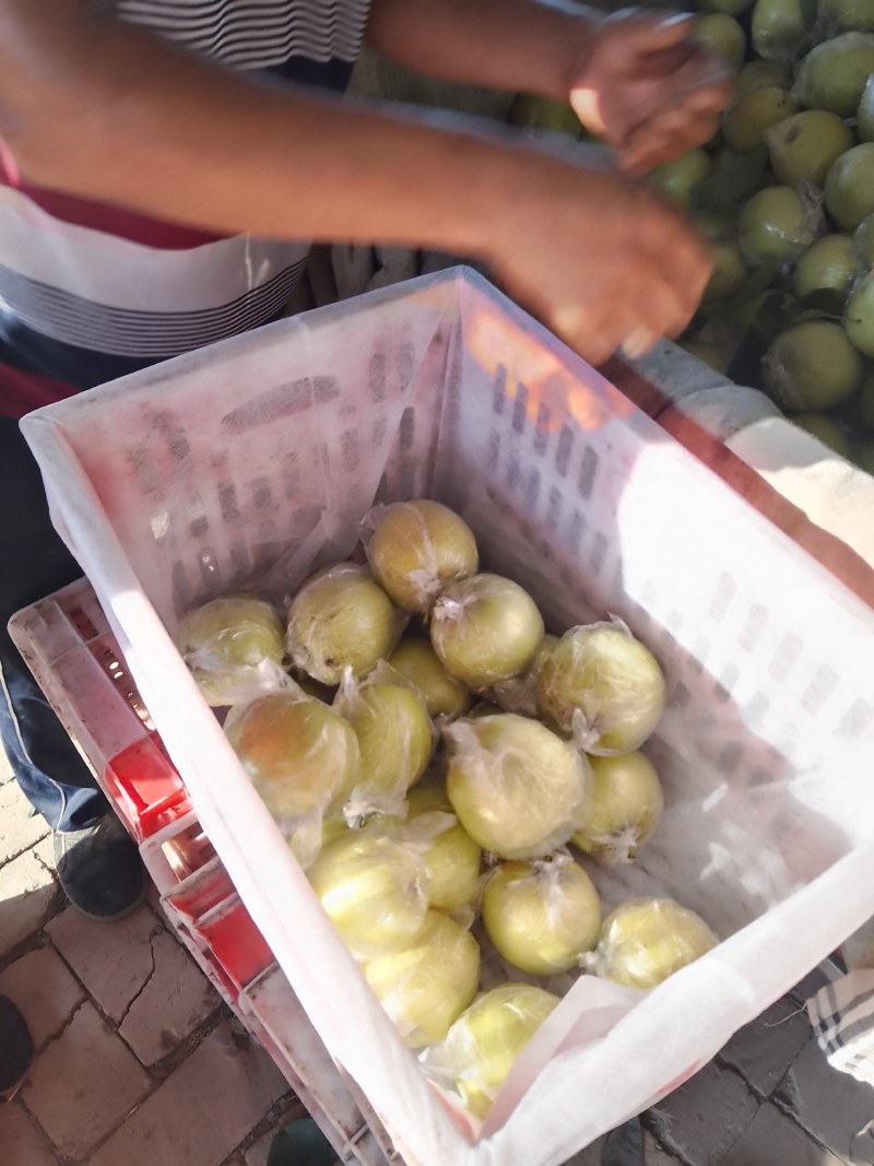 中期皇冠