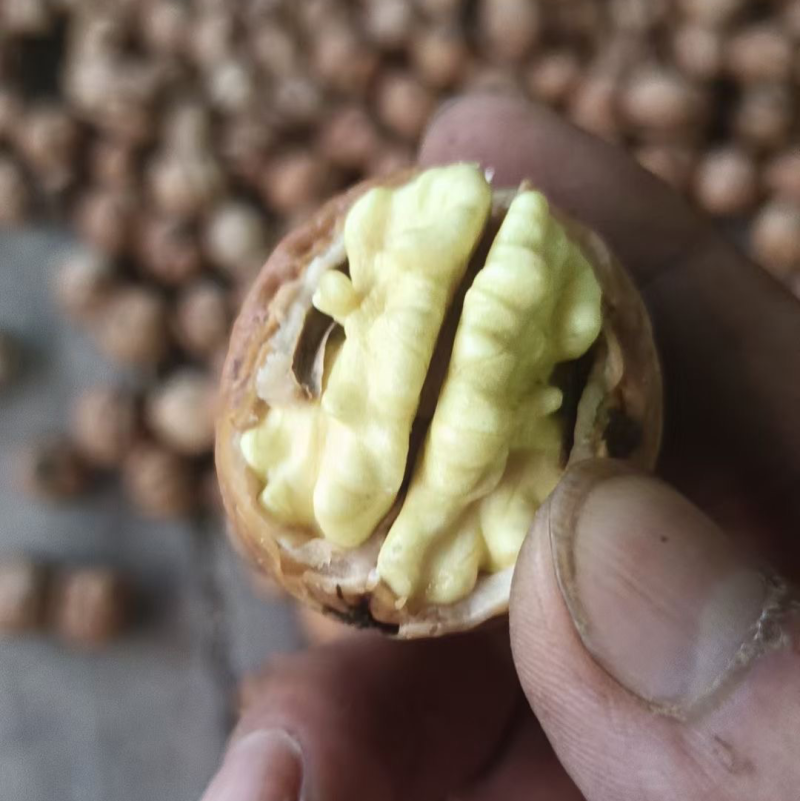 石家庄去皮新鲜核桃，皮薄，仁饱满。口干好。