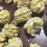 石家庄去皮新鲜核桃，皮薄，仁饱满。口干好。