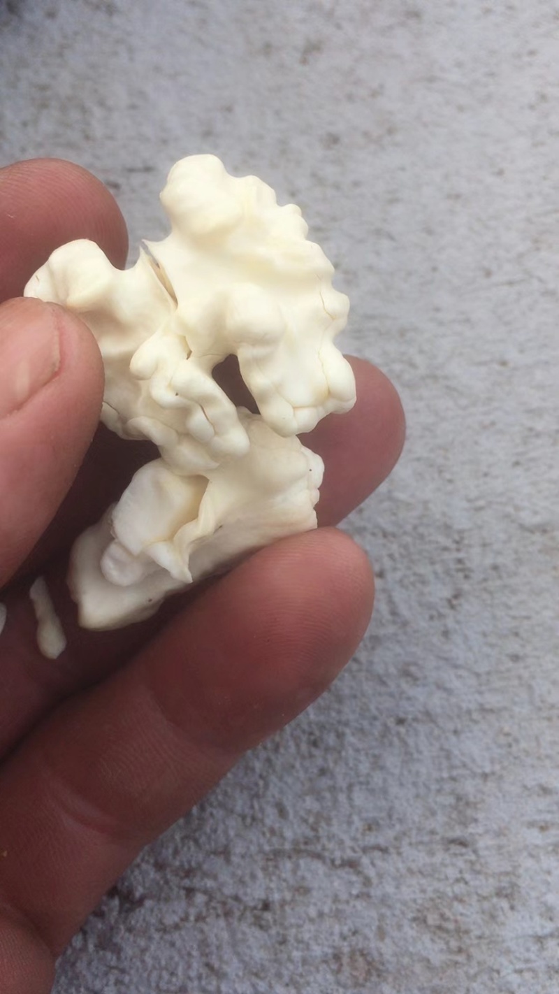 石家庄去皮新鲜核桃，皮薄，仁饱满。口干好。